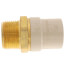 1" CPVC x Male Brass Adapter (Lead Free)