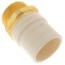 1-1/2" CPVC x Male Brass Adapter (Lead Free)