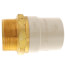 1-1/2" CPVC x Male Brass Adapter (Lead Free)