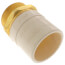 2" CPVC x Male Brass Adapter (Lead Free)