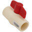 1" CPVC Ball Valve (Solvent)