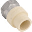 1/2" CPVC x Female Stainless Steel Adapter (Lead Free)