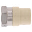 3/4" CPVC x Female Stainless Steel Adapter (Lead Free)