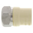 1" CPVC x Female Stainless Steel Adapter (Lead Free)