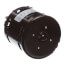 1-Speed 1600 RPM 1/15 HP Motor (115V)
