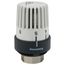 LV-4 Thermostatic Operator, D24660