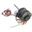 4-Speed 1050 RPM 1/10 - 1/15 - 1/25 - 1/40 HP Motor (115V)