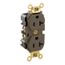 Duplex Receptacle Outlet, Extra  Smooth Face, 20A, 125V Back or Side Wire, NEMA 5-20R, 2-Pole, 3-Wire, Self-Grounding (Brown)