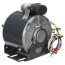 D736 1 Speed 1625 RPM Reversible Motor (115V)