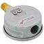 D82LFB, 1/4" NPT, 2-1/2" Dial, Industrial Pressure Gauge with Lower Mount (0-160 PSI)