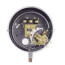 Brass Bourdon Tube SPDT Pressure Switch w/ Mercury Switch (5 - 100 PSIG)