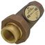 3/4" Dual Check Backflow Preventor Valve, Lead Free