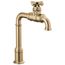 Broderick True Bar Kitchen Faucet (Champagne Bronze), 1990LFC-CZ