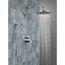 Monitor 14 Series Shower w/ Round Raincan, Hand Shower & Rough Valve, 342702 (Chrome)