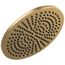 52158-CZ25 Single-Setting Metal Raincan Shower Head (Champagne Bronze)