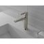 Galeon Single Handle Bathroom Faucet, 1.2 GPM (Lumicoat Stainless), 571-SS-PR-MPU-DST