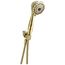 Premium 7-Setting Shower Mount Hand Shower (Polished Brass), 59346-PB-PK