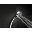 Premium 5-Setting Hand Shower (Chrome), 59436-PK
