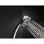 Premium 5-Setting Hand Shower (Chrome), 59436-PK