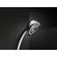 Premium 5-Setting Hand Shower (Chrome), 59436-PK