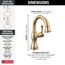 Cassidy Single Handle Pull Down Bathroom Faucet, 1.2 GPM (Champagne Bronze), 597-CZPD-DST