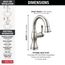 Cassidy Single Handle Pull Down Bathroom Faucet, 1.2 GPM (Stainless), 597-SSPD-DST