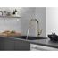 Essa Single Handle Pull-Down Kitchen Faucet, 9113-CZ-DST (Champagne Bronze)