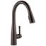 Essa Single Handle Pulldown Kitchen Faucet (Venetian Bronze), 9113-RB-DST