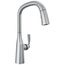 Stryke Single Handle Pull Down Kitchen Faucet (Lumicoat Arctic Stainless), 9176-AR-PR-DST