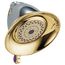 Premium 3-Setting Shower Head (Chrome/Brass)