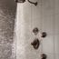 Premium 3-Setting Shower Head (Venetian Bronze)