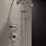 RP40593SS Shower Arm (Stainless)