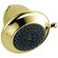 Premium 3-Setting Shower Head (Polished Brass), RP43381PB