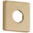 RP51034CZ Shower Flange (Champagne Bronze)