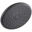 RP52382RB Single-Setting Raincan Shower Head (Venetian Bronze)