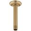 Shower Arm & Flange, Ceiling Mount (Champagne Bronze)
