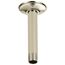 Shower Arm & Flange, Ceiling Mount (Polished Nickel), RP61058PN