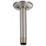 Shower Arm & Flange, Ceiling Mount (Stainless)