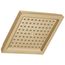 RP62283CZ Single-Setting Raincan Shower Head (Champagne Bronze)