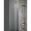 Single-Setting Raincan Shower Head, 2.50 GPM (Lumicoat Champagne Bronze), RP62955CZPR