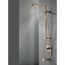 Single-Setting Raincan Shower Head, 2.50 GPM (Lumicoat Champagne Bronze), RP62955CZPR