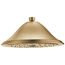 RP72568CZ Single-Setting Raincan Shower Head (Champagne Bronze)