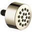 Touch-Clean Spray Head (Lumicoat Polished Nickel), SH5000-PN-PR
