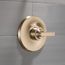 Tetra 14 Series Valve Only Trim (Lumicoat Champagne Bronze), T14089-CZ-PR