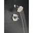 Stryke 14 Series Shower Only (Stainless), T142766-SS