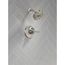 Broderick 14 Series Shower Trim, 1.75 GPM (Lumicoat Stainless), T14284-SS-PR