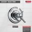 Cassidy Monitor 17 Series Valve Only Trim (Chrome), T17097