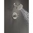 Saylor Monitor 17 Series Shower Trim (Stainless), T17235-SS