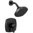 Stryke 17 Series Shower Only (Matte Black), T17276-BL