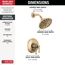 Broderick 17 Series Shower Trim, 1.75 GPM (Lumicoat Champagne Bronze), T17284-CZ-PR